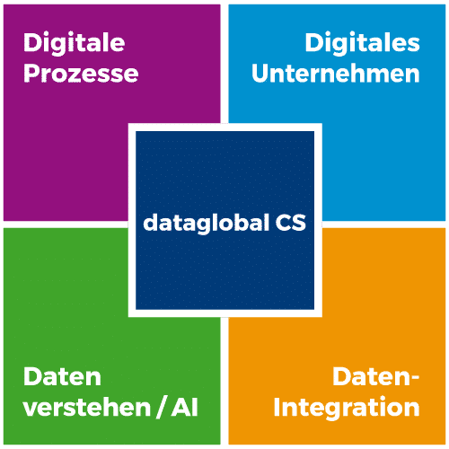 Software dataglobal CS