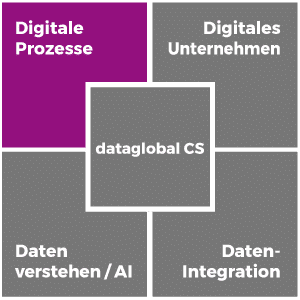 Digitale Prozesse mit der Software dataglobal CS