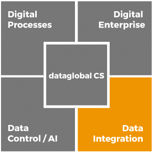 dataglobal-cs_data-integration_en