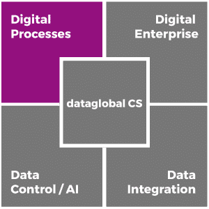 dataglobal-cs_digital-processes_en