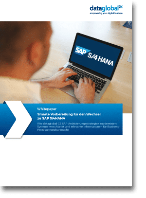 Whitepaper smarte Vorbereitung für den Wechsel zu SAP S/4 HANA
